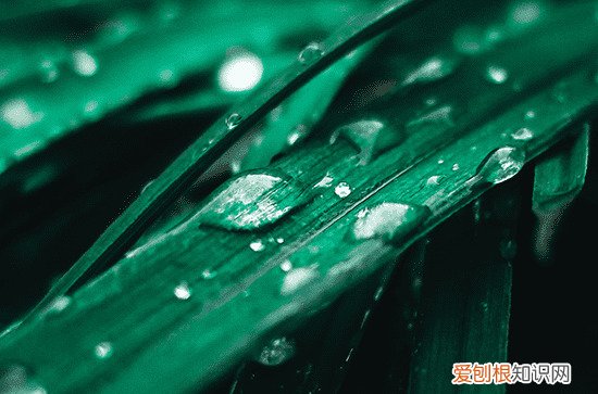 在夏季雨天适合发朋友圈的句子80句