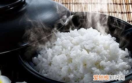 一个人煮饭放多少米,一个人的米饭需要多少米