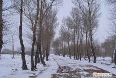 为什么北方雪化得快，积雪化得最快的一面朝哪个方向