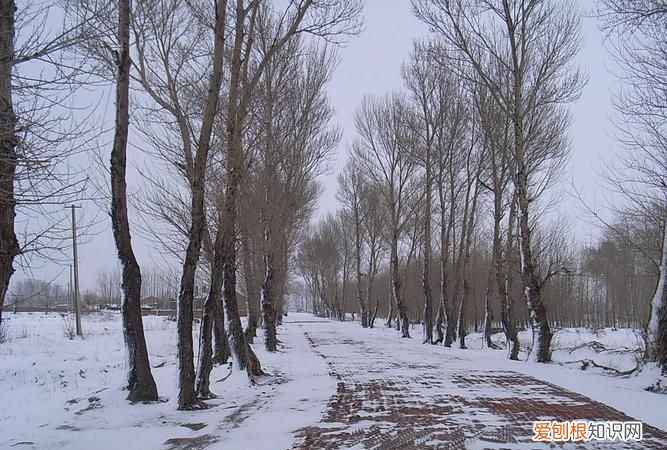 为什么北方雪化得快，积雪化得最快的一面朝哪个方向