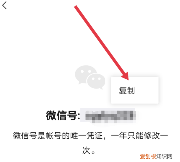 怎么复制自己的微信号，心田上面如何把微信号给别人