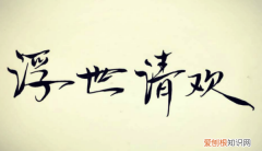 浮世清欢什么意思，浮世清欢是什么意思