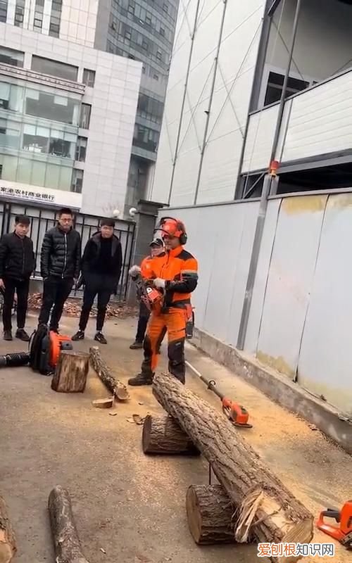 油据着不住火请详解,苧麻跟棉麻有什么区别