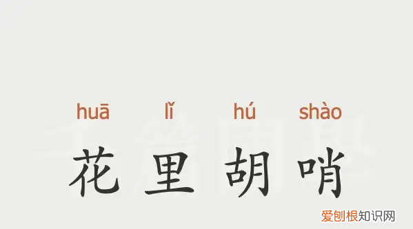 花里浮哨是什么意思，花里胡哨是什么意思