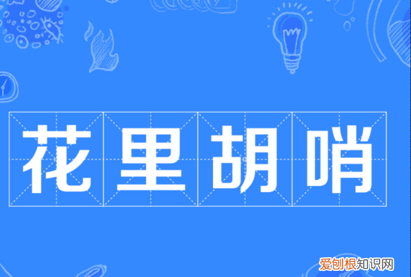 花里浮哨是什么意思，花里胡哨是什么意思
