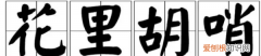 花里浮哨是什么意思，花里胡哨是什么意思