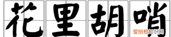 花里浮哨是什么意思，花里胡哨是什么意思