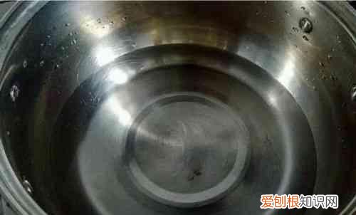 天气热吃什么样的凉粉最合适,自制凉粉天气炎热多吃凉粉