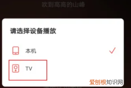 网易云要怎样投屏到电视,网易云怎么投屏到电视上听歌