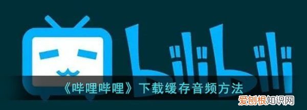 B站音频怎么到本地，《哔哩哔哩》缓存音频方法是什么