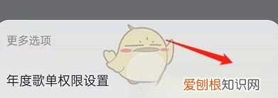 网易云怎么隐藏歌单，网易云音乐年度歌单怎么隐藏