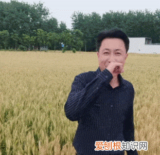 适合老年人的抖音账号