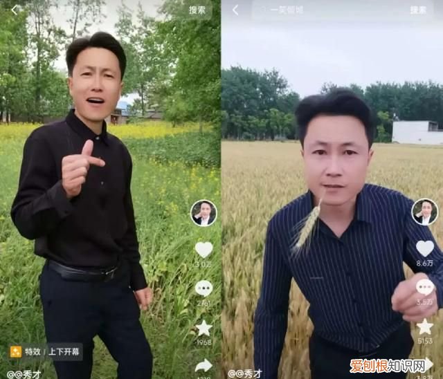适合老年人的抖音账号