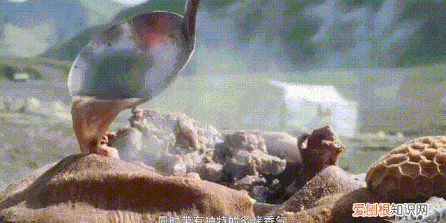 两千年的明星