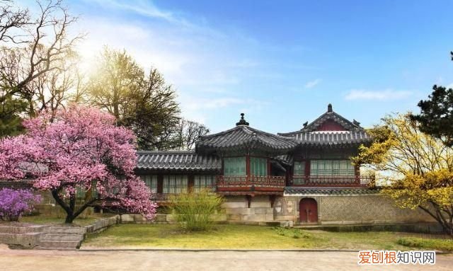 韩国东大门服装批发市场具体在哪里的?