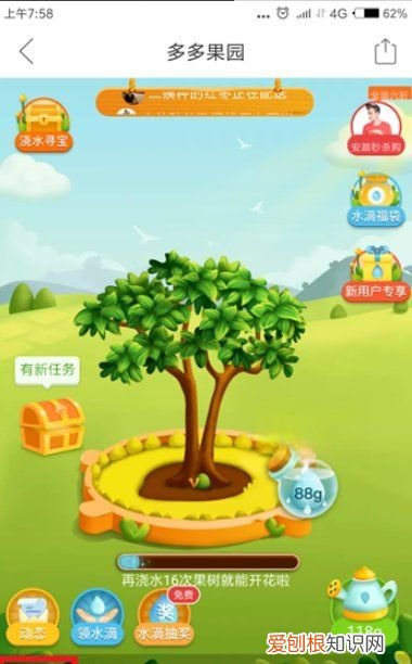 拼多多如何加好友，拼多多怎么加人为好友啊