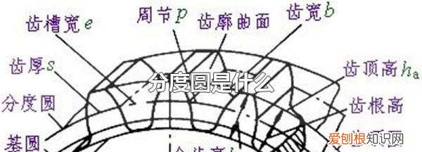分度圆是什么