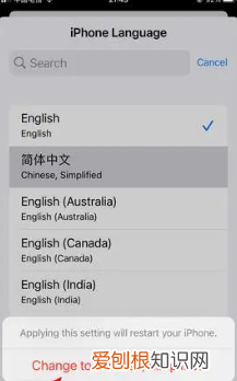 苹果手机语言怎么切换中文