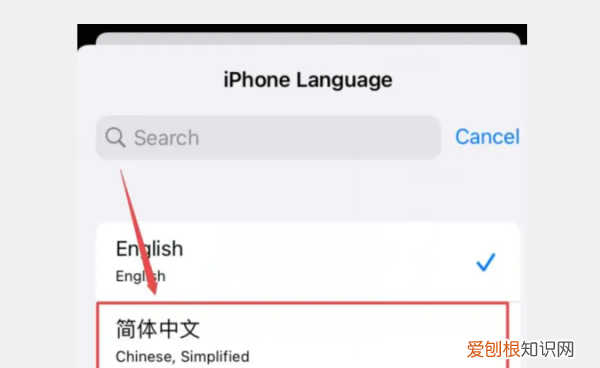 苹果手机语言怎么切换中文
