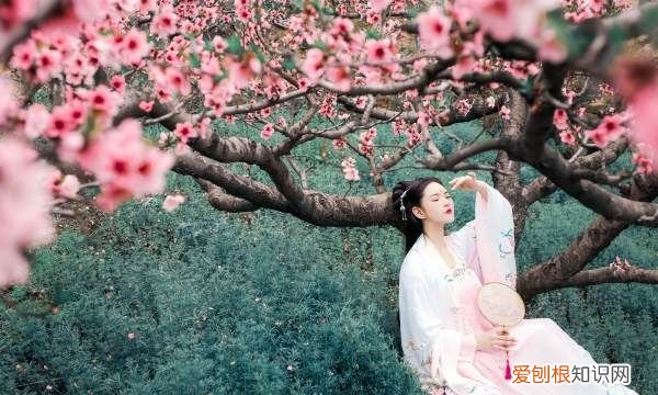 为什么叫桃花运,为什么叫做桃花运