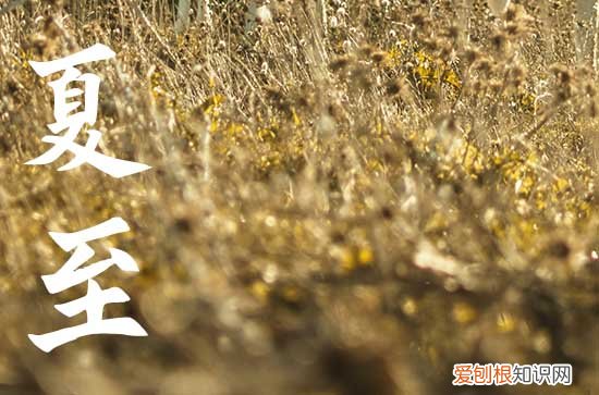 2023夏至不能同房 夏至忌讳什么