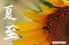 夏至是2023的几月几日 夏至是白天最长的一天吗