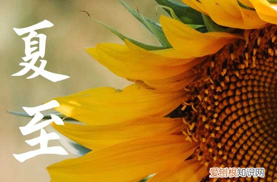 夏至是2023的几月几日 夏至是白天最长的一天吗