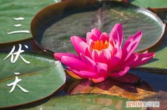 2023年伏天起止时间 2023年伏天多少天