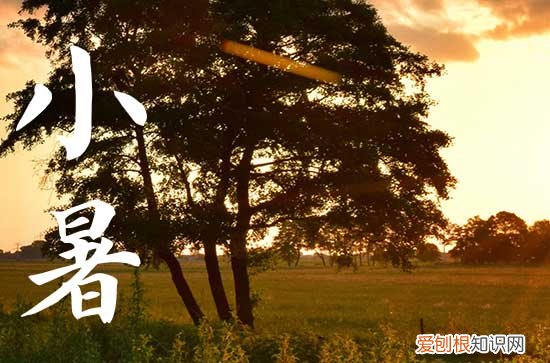 2023年小暑的具体时间 2023年小暑是哪一天