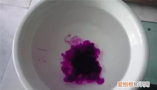 买来的多肉如何栽种视频播放 买来的多肉如何栽种视频教学