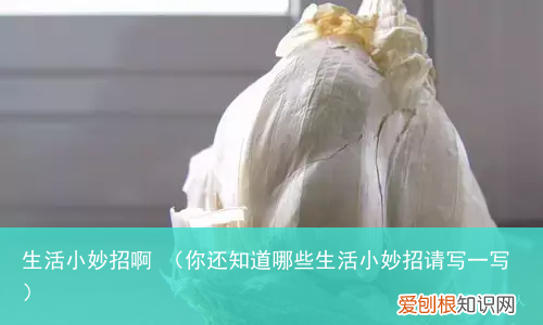你还知道哪些生活小妙招请写一写 生活小妙招啊