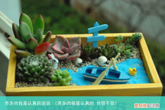 养多肉我是认真的,自强不息 养多肉我是认真的说说