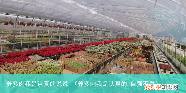 养多肉我是认真的,自强不息 养多肉我是认真的说说