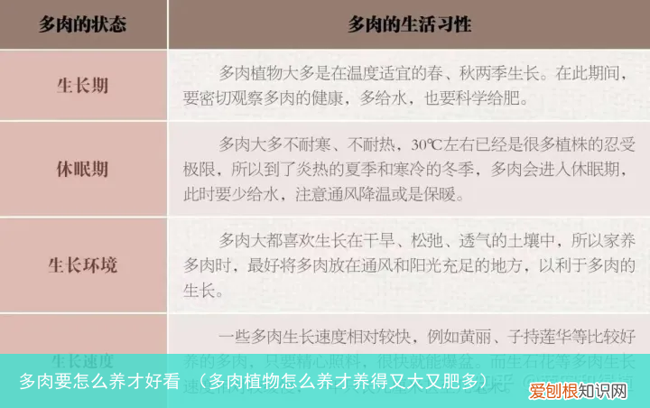 多肉植物怎么养才养得又大又肥多 多肉要怎么养才好看
