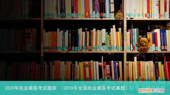 2018年全国执业兽医考试真题 2020年执业兽医考试题库