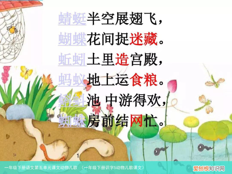 一年级下册识字5动物儿歌课文 一年级下册语文第五单元课文动物儿歌