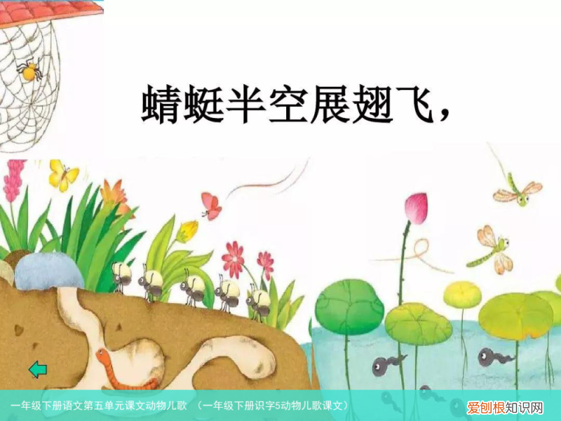 一年级下册识字5动物儿歌课文 一年级下册语文第五单元课文动物儿歌