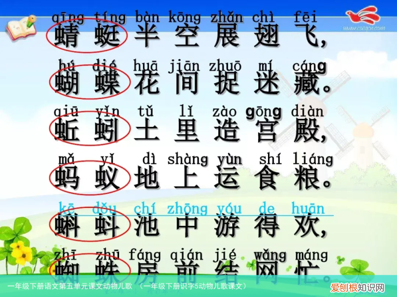 一年级下册识字5动物儿歌课文 一年级下册语文第五单元课文动物儿歌