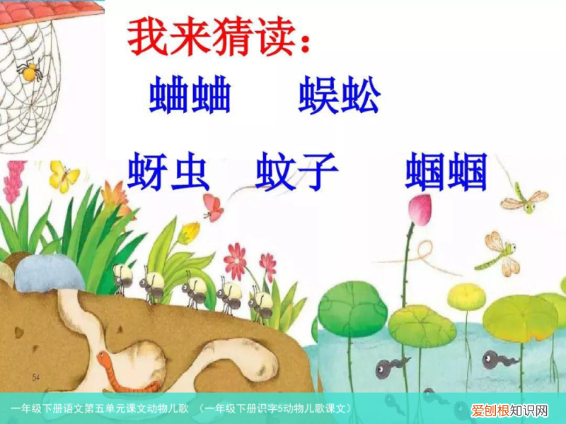 一年级下册识字5动物儿歌课文 一年级下册语文第五单元课文动物儿歌