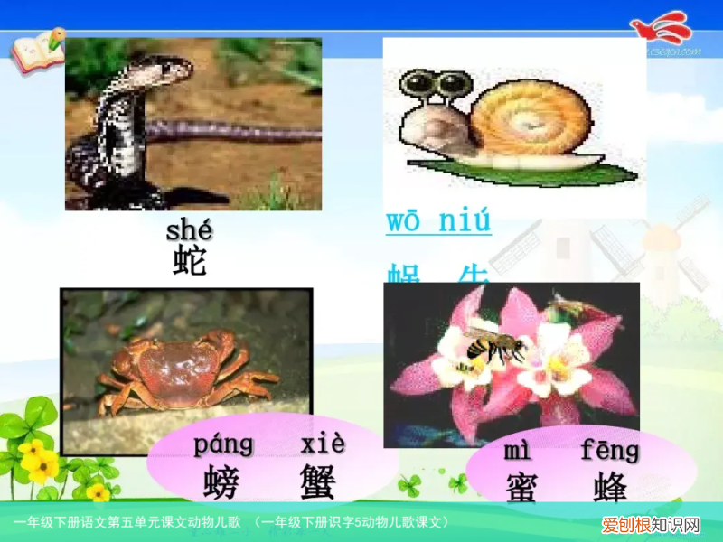 一年级下册识字5动物儿歌课文 一年级下册语文第五单元课文动物儿歌
