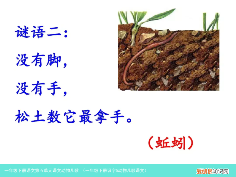 一年级下册识字5动物儿歌课文 一年级下册语文第五单元课文动物儿歌