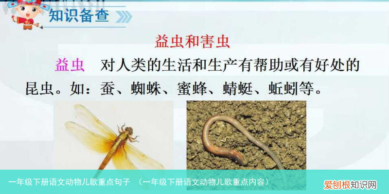 一年级下册语文动物儿歌重点内容 一年级下册语文动物儿歌重点句子