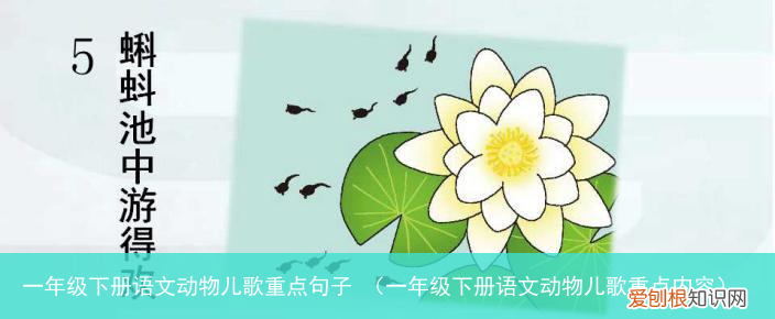 一年级下册语文动物儿歌重点内容 一年级下册语文动物儿歌重点句子