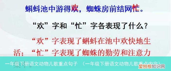 一年级下册语文动物儿歌重点内容 一年级下册语文动物儿歌重点句子