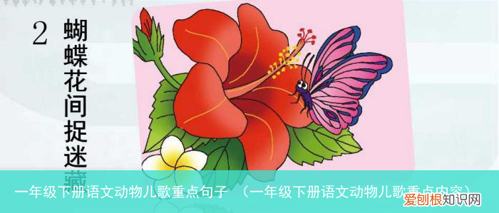 一年级下册语文动物儿歌重点内容 一年级下册语文动物儿歌重点句子