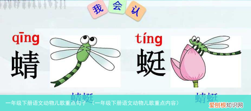 一年级下册语文动物儿歌重点内容 一年级下册语文动物儿歌重点句子
