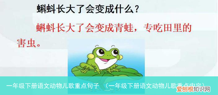 一年级下册语文动物儿歌重点内容 一年级下册语文动物儿歌重点句子