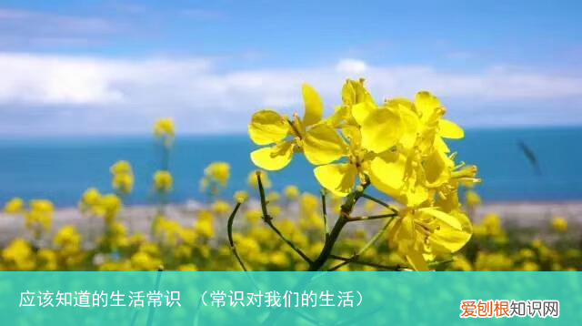 常识对我们的生活 应该知道的生活常识