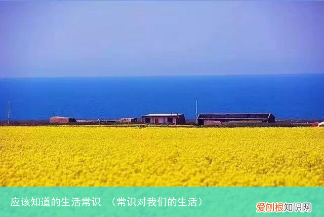 常识对我们的生活 应该知道的生活常识