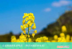 常识对我们的生活 应该知道的生活常识